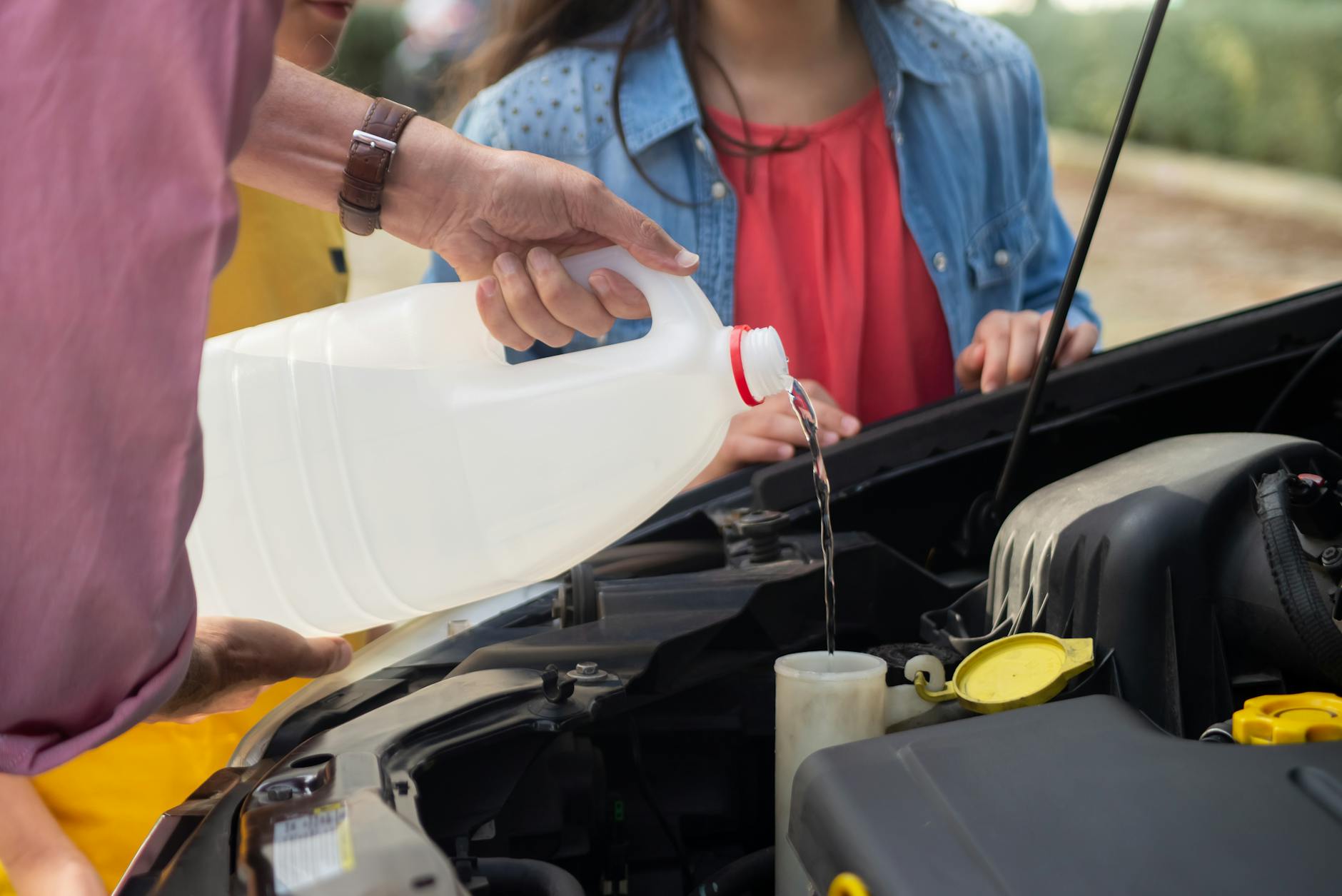 Windshield Washer Fluid: Summer, Winter, Bug Remover